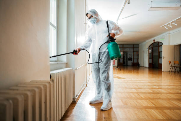 Best Fumigation Services  in Cana, VA